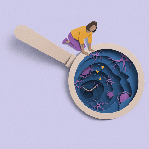 Artwork of a person looking at astrocytes through a large magnifying glass